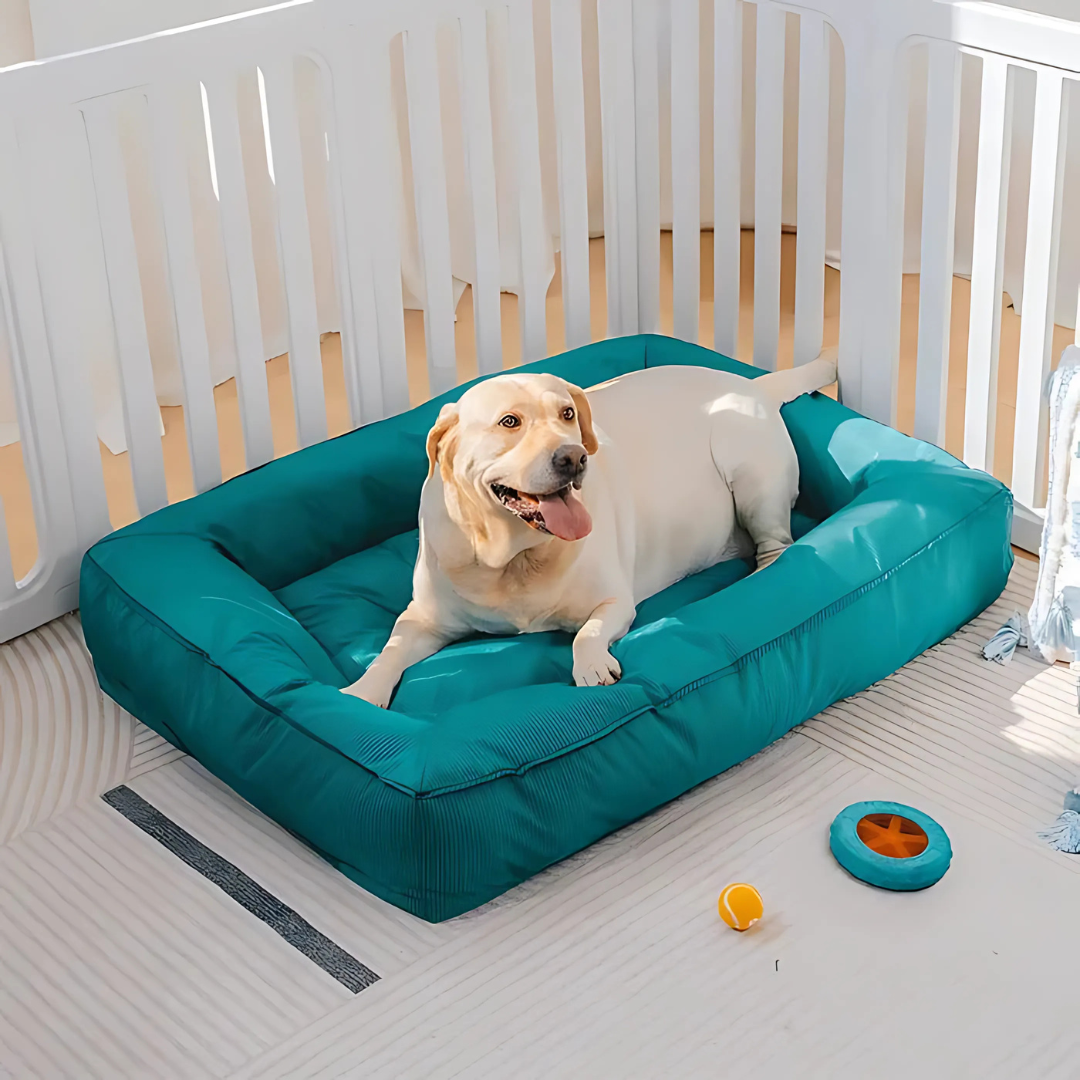 Cama ortopédica para perro