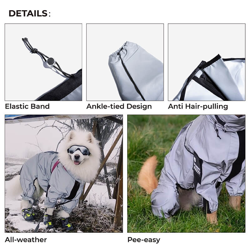 Skanto | Chaqueta de lluvia para perros cool, impermeable y para todo clima