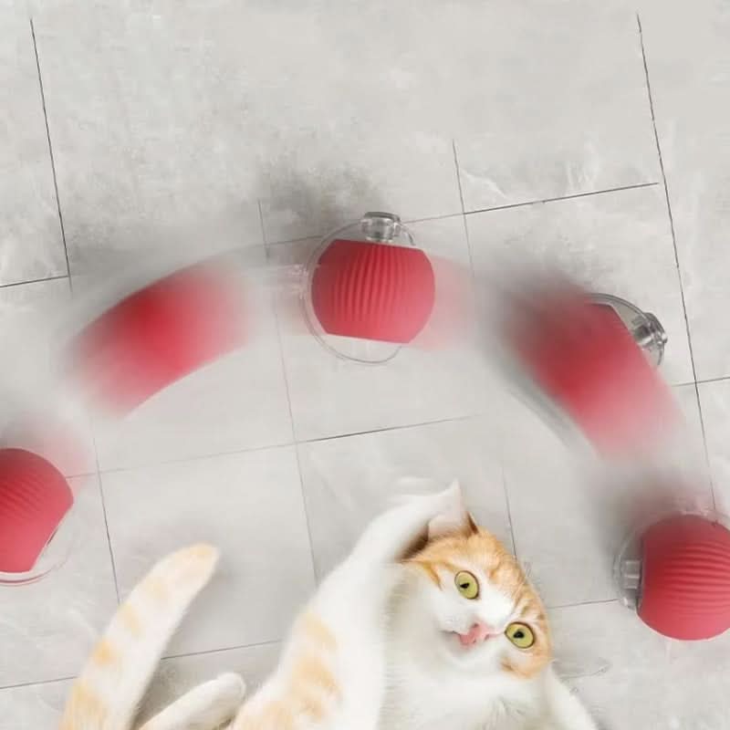 Juguete rebotante para gatos activos y curiosos