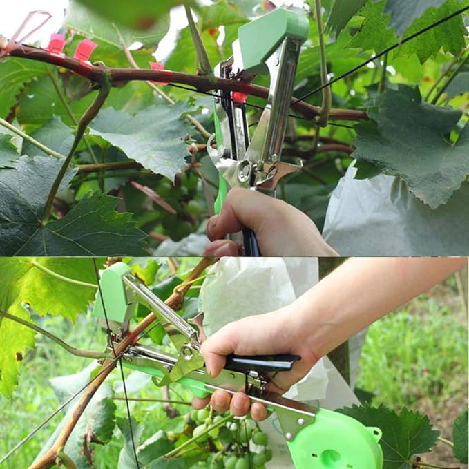 AttachePro – El Dispositivo Revolucionario para Atar sus Plantas | 50% DESCUENTO