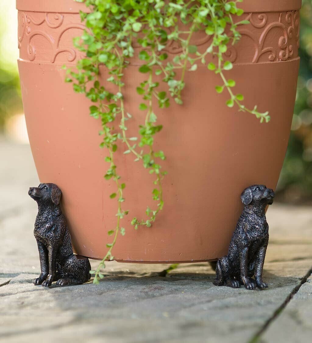 Kalsten | Patas de Maceta para Plantas
