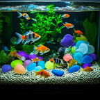 GlowPebbles — Piedras de Jardín Brillantes | 50% DESCUENTO