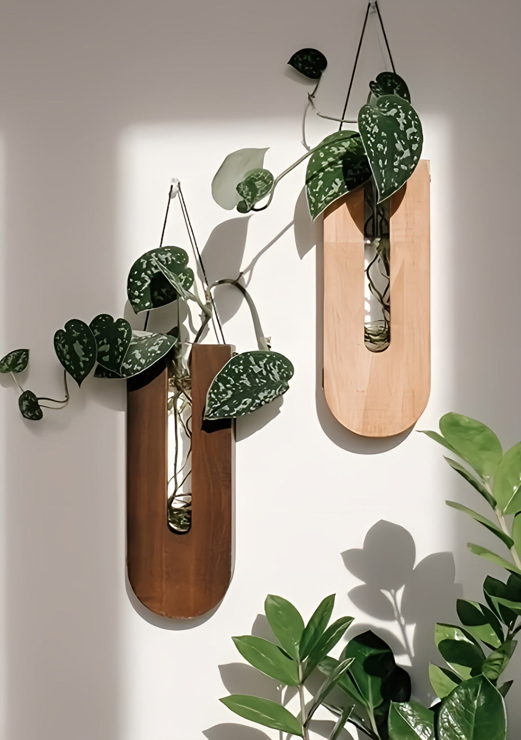 Soporte de plantas de pared de madera - Set de colgadores de macetas rústicos
