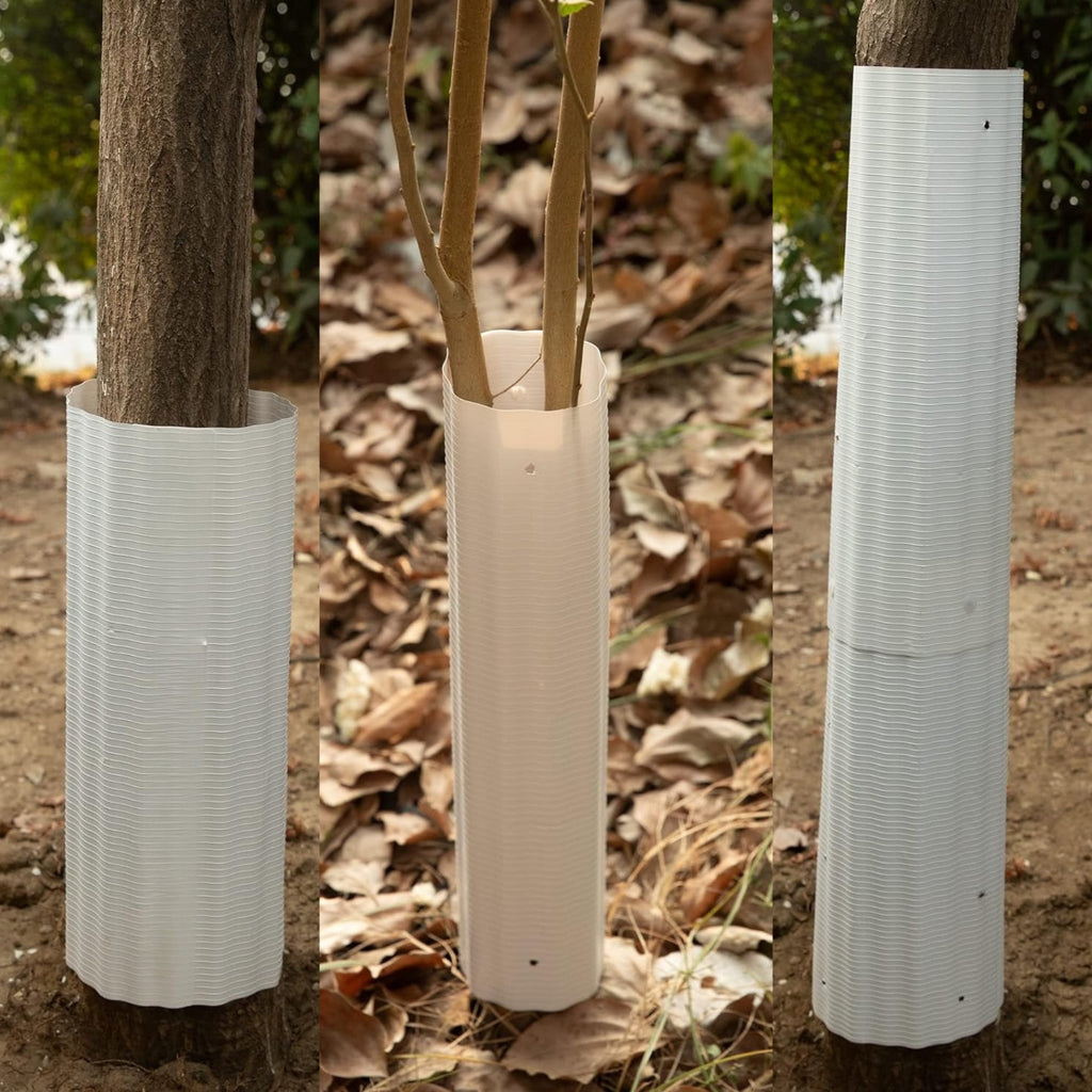 Barrera para Ardillas para Árboles - Paquete de 6