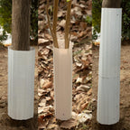 Barrera para Ardillas para Árboles - Paquete de 6