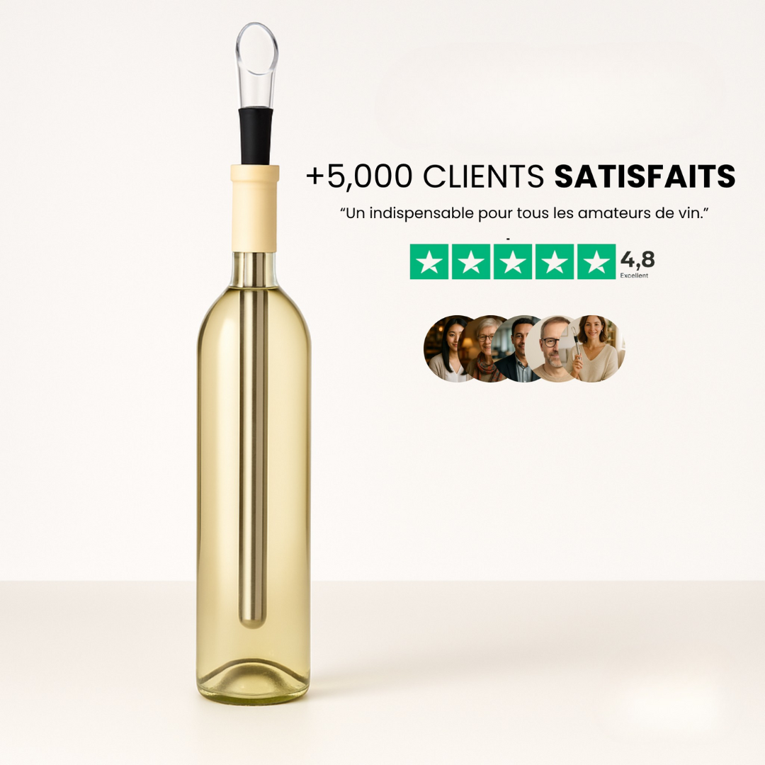 Enfriador de vino portátil de acero inoxidable