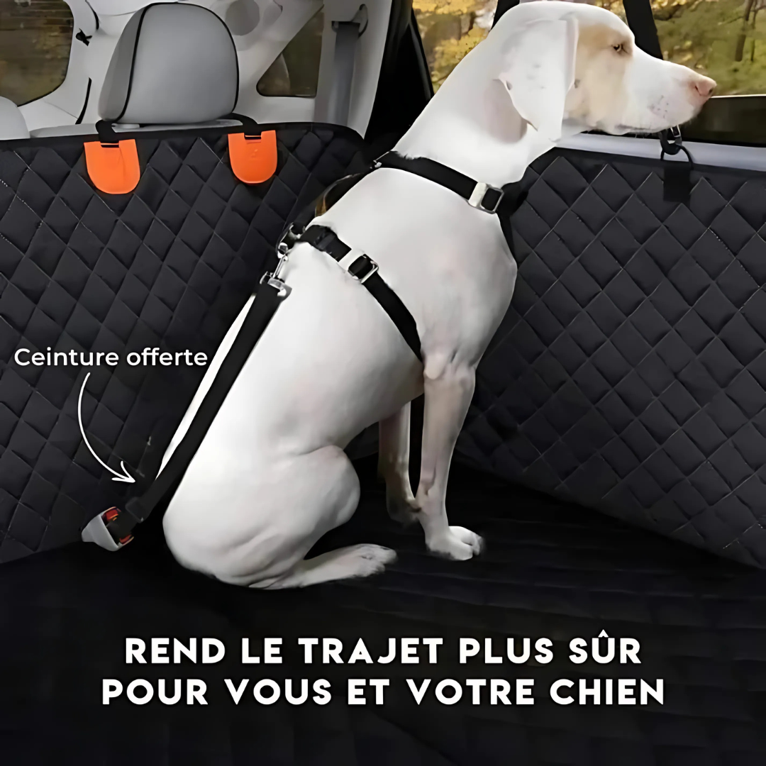 Protección de asiento de coche para perro