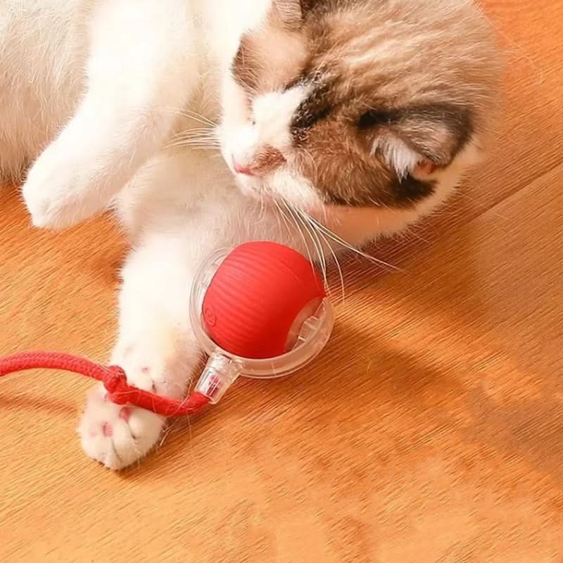Juguete rebotante para gatos activos y curiosos