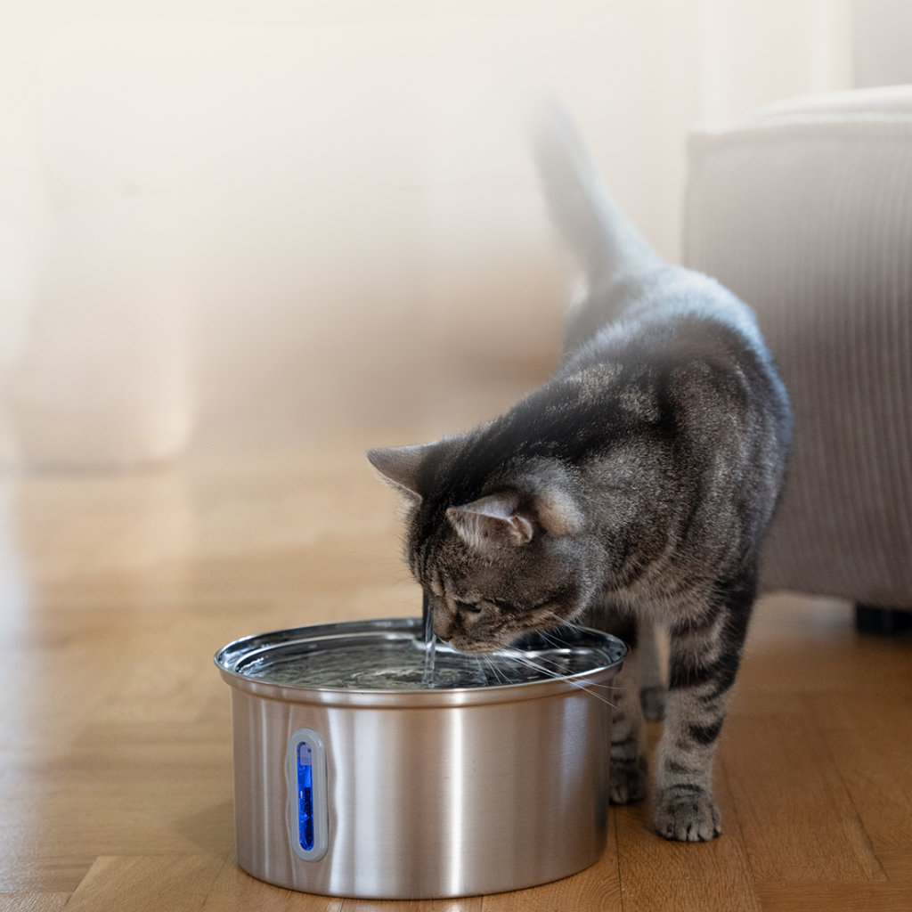Fuente Premium Inalámbrica para Gatos