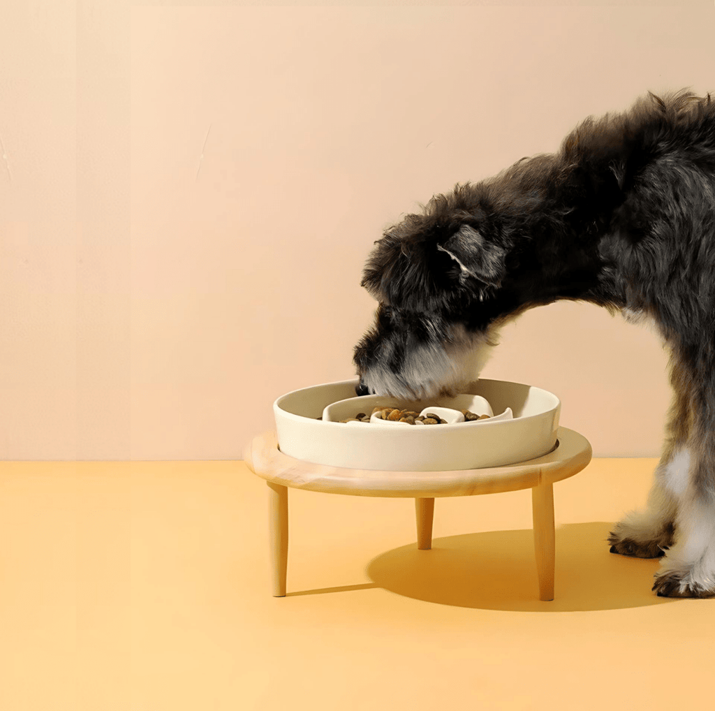 LangsameKeramik - Elegante Cuenco de Cerámica para Mascotas