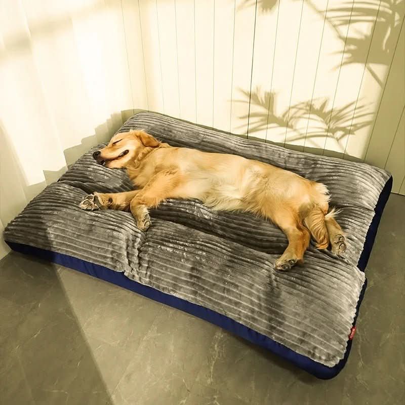 FlauschNest Cama Ortopédica para Perros – Acogedora y de Soporte para Noches Reparadoras