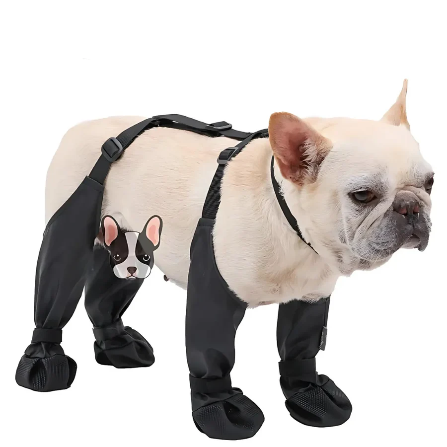 BowLift | Botas de Suspender para Perros con Cobertura Completa y Suela Antideslizante