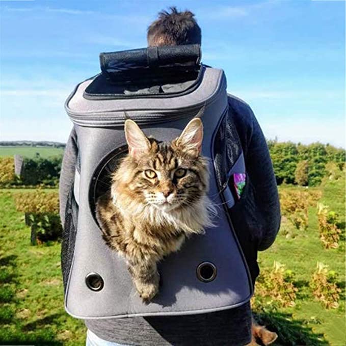 Transportador para mascotas