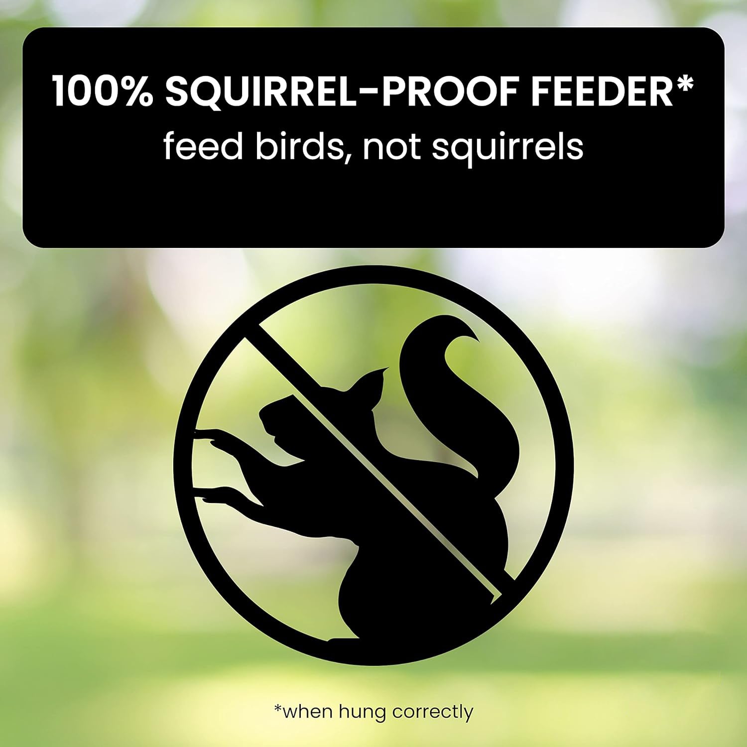 Comedero para Aves a Prueba de Ardillas