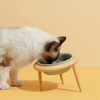 Cuenco Elevado de Cerámica para Gatos Misha con Soporte de Madera