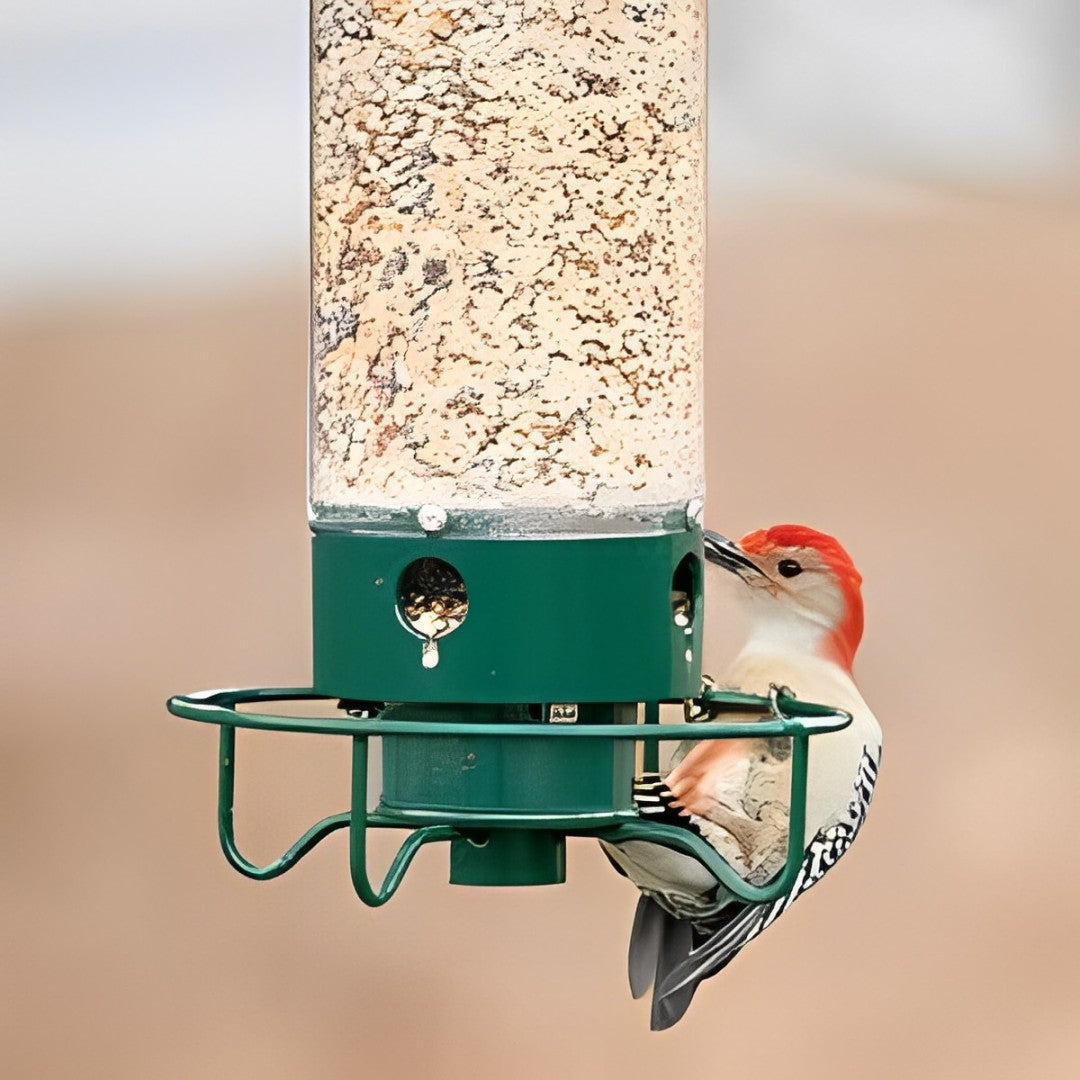 Comedero para Aves a Prueba de Ardillas