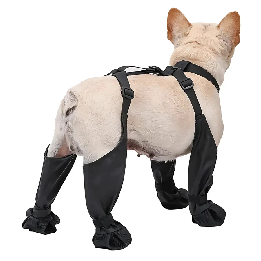 BowLift | Botas de Suspender para Perros con Cobertura Completa y Suela Antideslizante