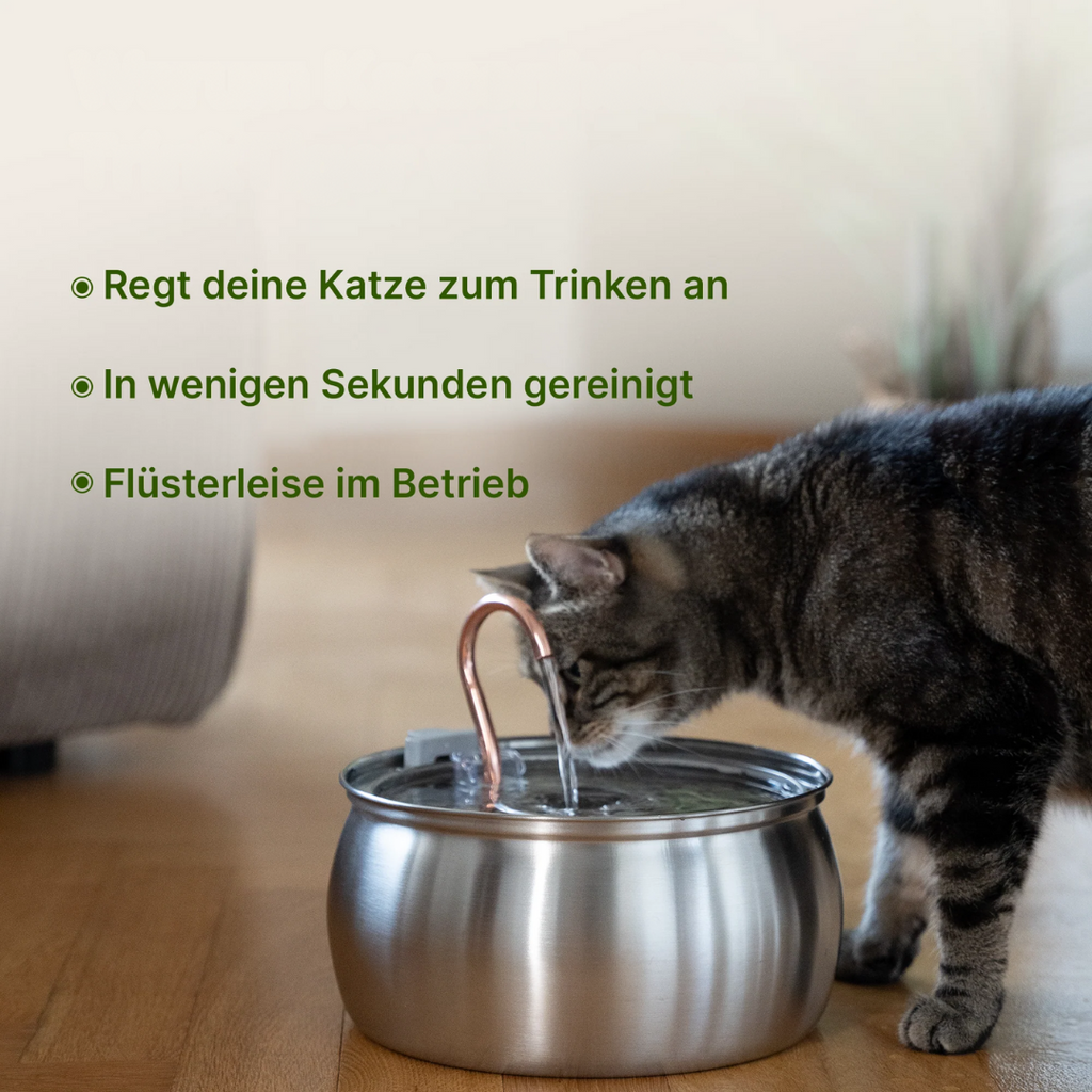 Fuente para gatos de acero inoxidable