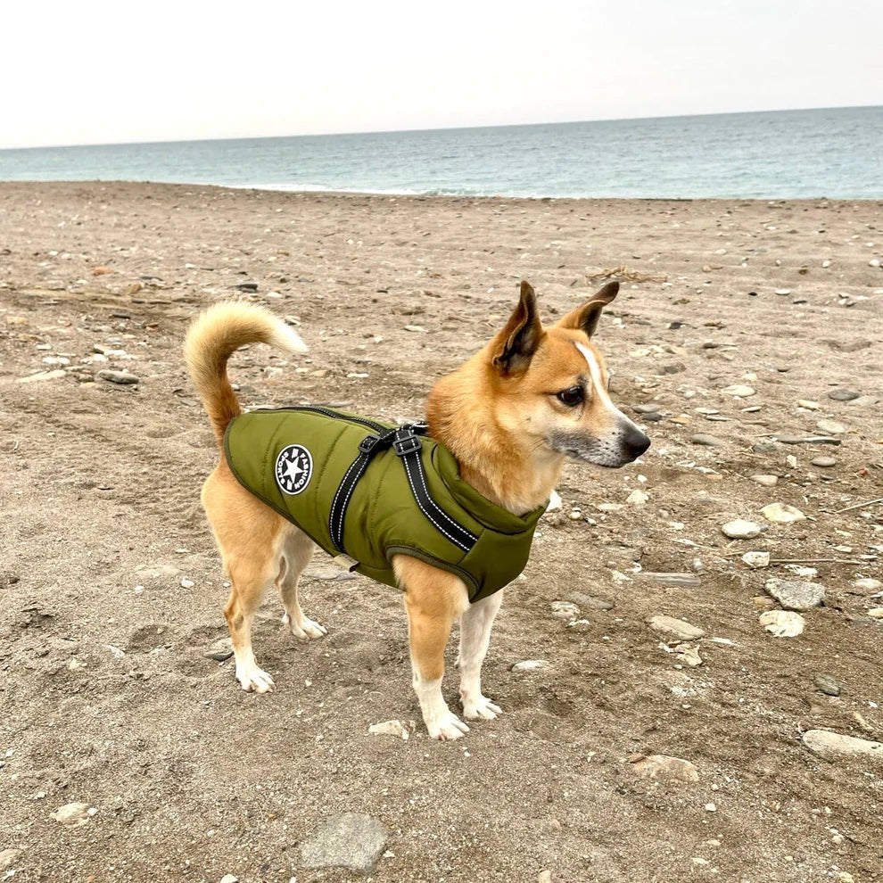 PawGuard - Chaqueta para Perros Protección Completa del Cuerpo con Arnés Incorporado para Comodidad en Todas las Condiciones Climáticas