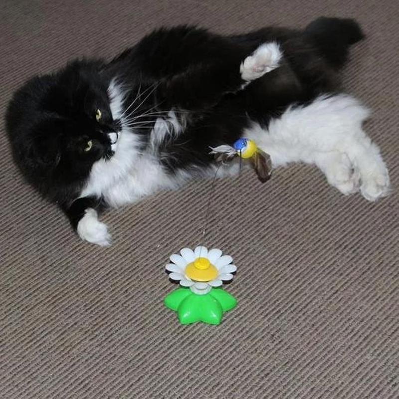 KatzenFit™ - Juguete Interactivo para Gatos | 1+1 GRATIS