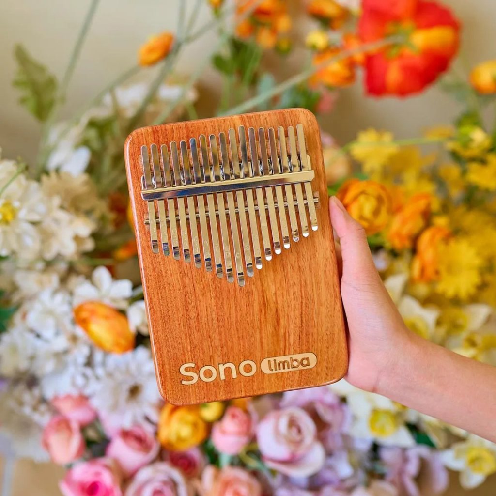 Kalimba de madera de coral africano