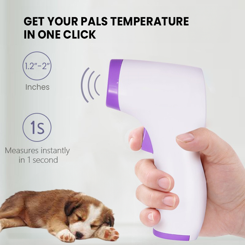 Termómetro para Perros Sin Contacto con Lectura de Un Clic