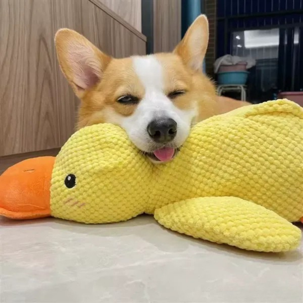 Juguete de peluche Pato para Perros