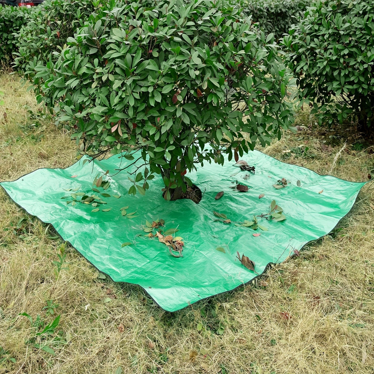 Gran Lona de Jardín con Abertura para Árbol – Impermeable, Reutilizable y Perfecta para Trabajo de Poda