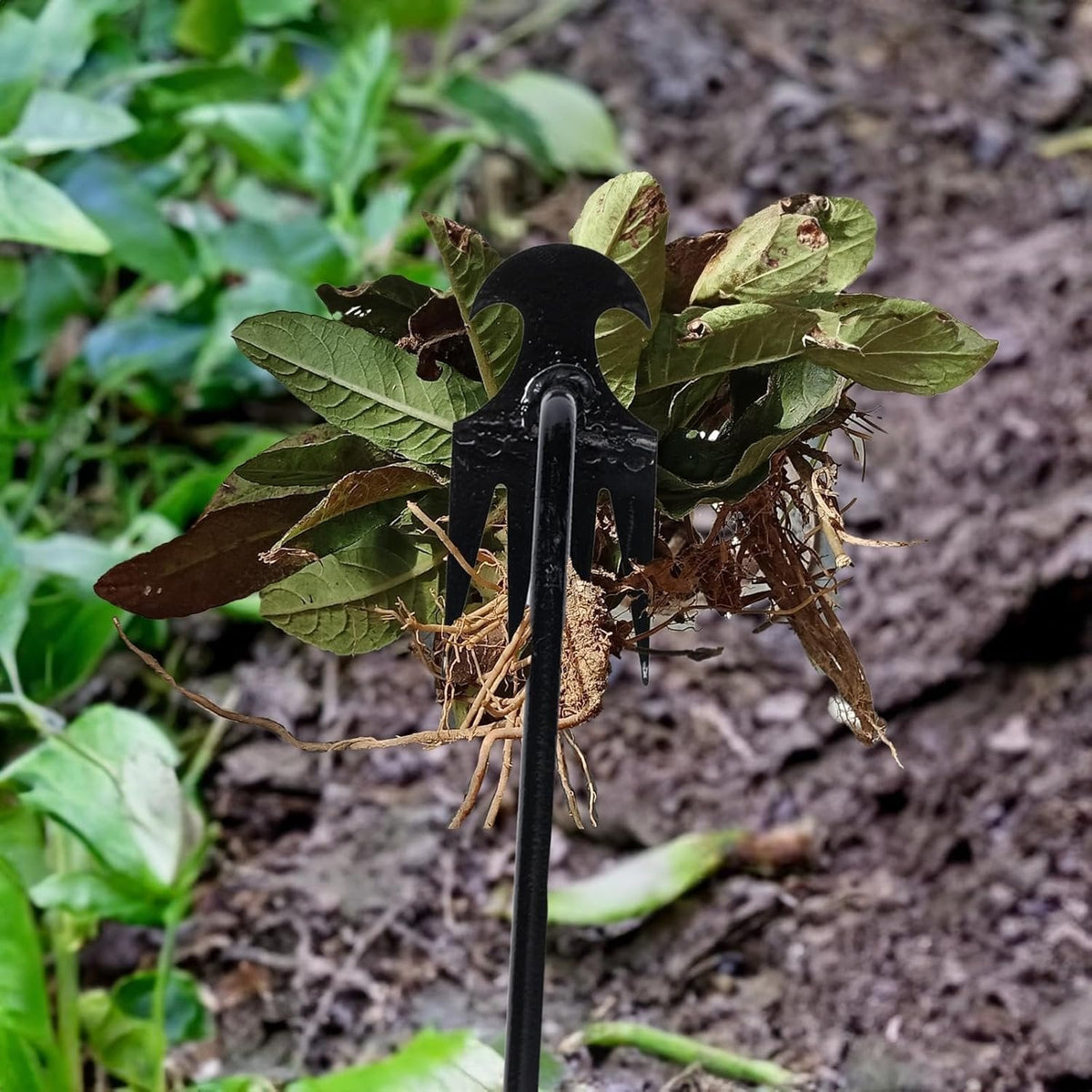 Nueva Herramienta para Sacar Malezas del Jardín