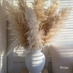Ramo de hierba de pampas natural y real seca de 80 cm (blanco / beige / gris) │ pluma esponjosa para decoración moderna boho del hogar