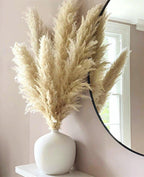 Ramo de hierba de pampas natural y real seca de 80 cm (blanco / beige / gris) │ pluma esponjosa para decoración moderna boho del hogar