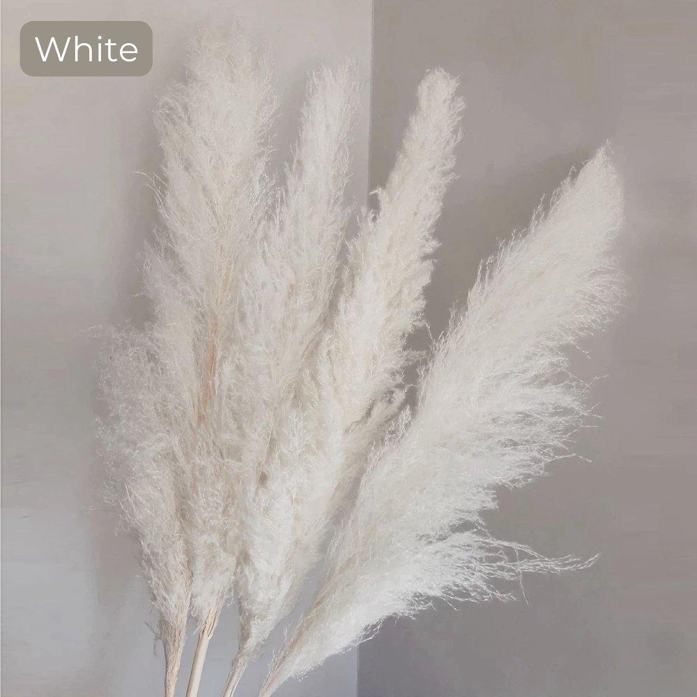 Ramo de hierba de pampas natural y real seca de 80 cm (blanco / beige / gris) │ pluma esponjosa para decoración moderna boho del hogar