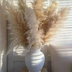 Ramo de hierba de pampas natural y real seca de 80 cm (blanco / beige / gris) │ pluma esponjosa para decoración moderna boho del hogar