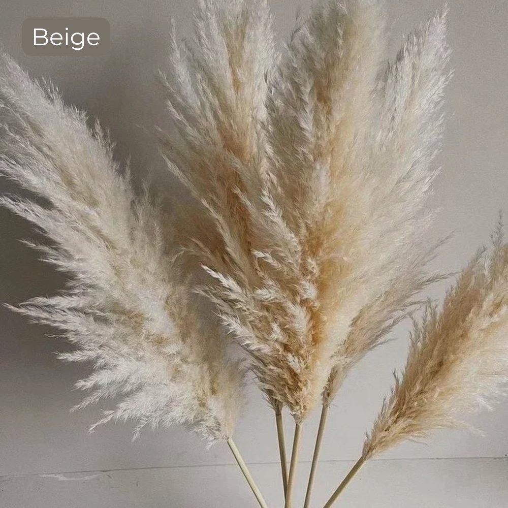 Ramo de hierba de pampas natural y real seca de 80 cm (blanco / beige / gris) │ pluma esponjosa para decoración moderna boho del hogar