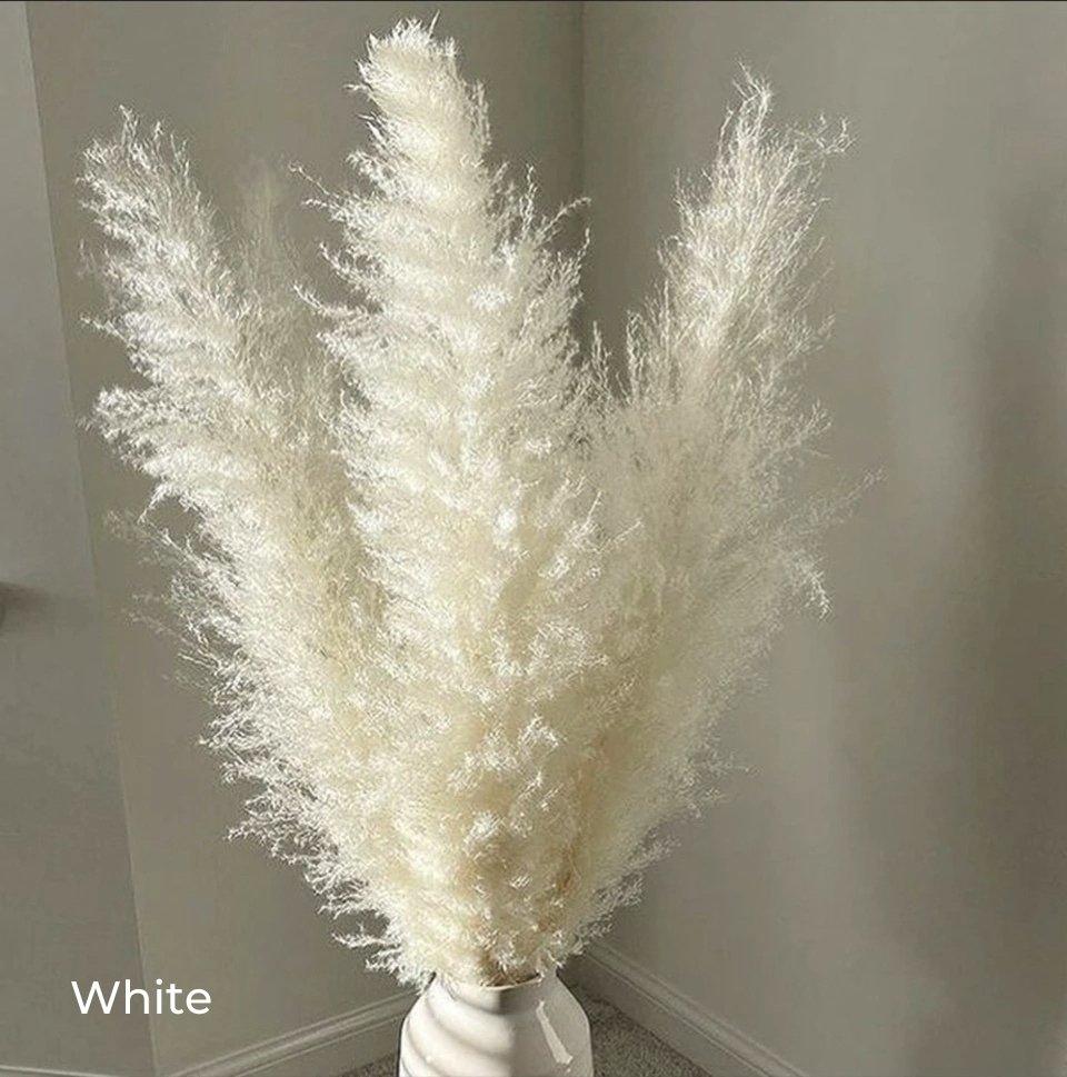 Ramo de hierba de pampas natural y real seca de 80 cm (blanco / beige / gris) │ pluma esponjosa para decoración moderna boho del hogar