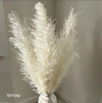 Ramo de hierba de pampas natural y real seca de 80 cm (blanco / beige / gris) │ pluma esponjosa para decoración moderna boho del hogar