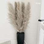 Ramo de hierba de pampas natural y real seca de 80 cm (blanco / beige / gris) │ pluma esponjosa para decoración moderna boho del hogar