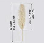 Ramo de hierba de pampas natural y real seca de 80 cm (blanco / beige / gris) │ pluma esponjosa para decoración moderna boho del hogar