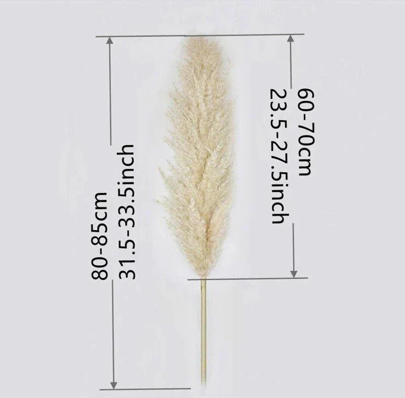 Ramo de hierba de pampas natural y real seca de 80 cm (blanco / beige / gris) │ pluma esponjosa para decoración moderna boho del hogar
