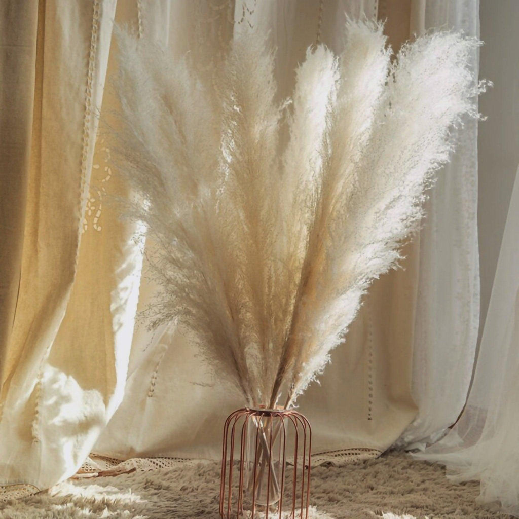 Ramo de hierba de pampas natural y real seca de 80 cm (blanco / beige / gris) │ pluma esponjosa para decoración moderna boho del hogar
