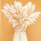 Ramo de hierba de pampas natural y real seca de 80 cm (blanco / beige / gris) │ pluma esponjosa para decoración moderna boho del hogar
