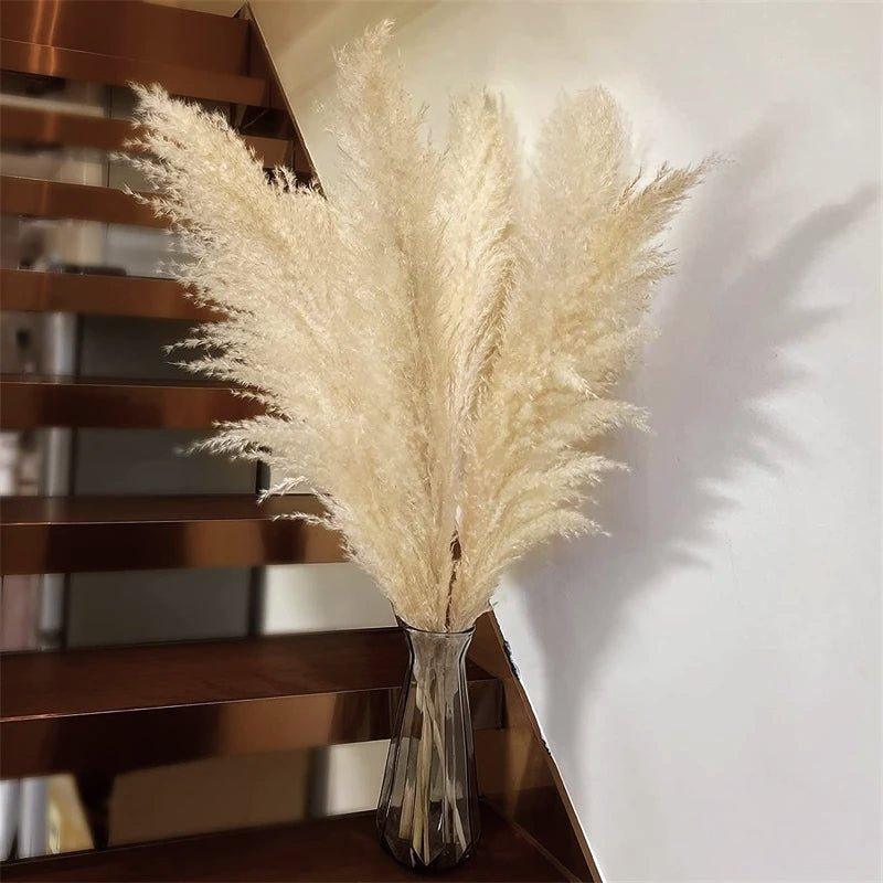 Ramo de hierba de pampas natural y real seca de 80 cm (blanco / beige / gris) │ pluma esponjosa para decoración moderna boho del hogar