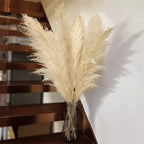 Ramo de hierba de pampas natural y real seca de 80 cm (blanco / beige / gris) │ pluma esponjosa para decoración moderna boho del hogar