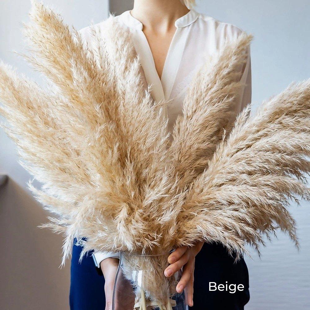Ramo de hierba de pampas natural y real seca de 80 cm (blanco / beige / gris) │ pluma esponjosa para decoración moderna boho del hogar