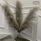 Ramo de hierba de pampas natural y real seca de 80 cm (blanco / beige / gris) │ pluma esponjosa para decoración moderna boho del hogar