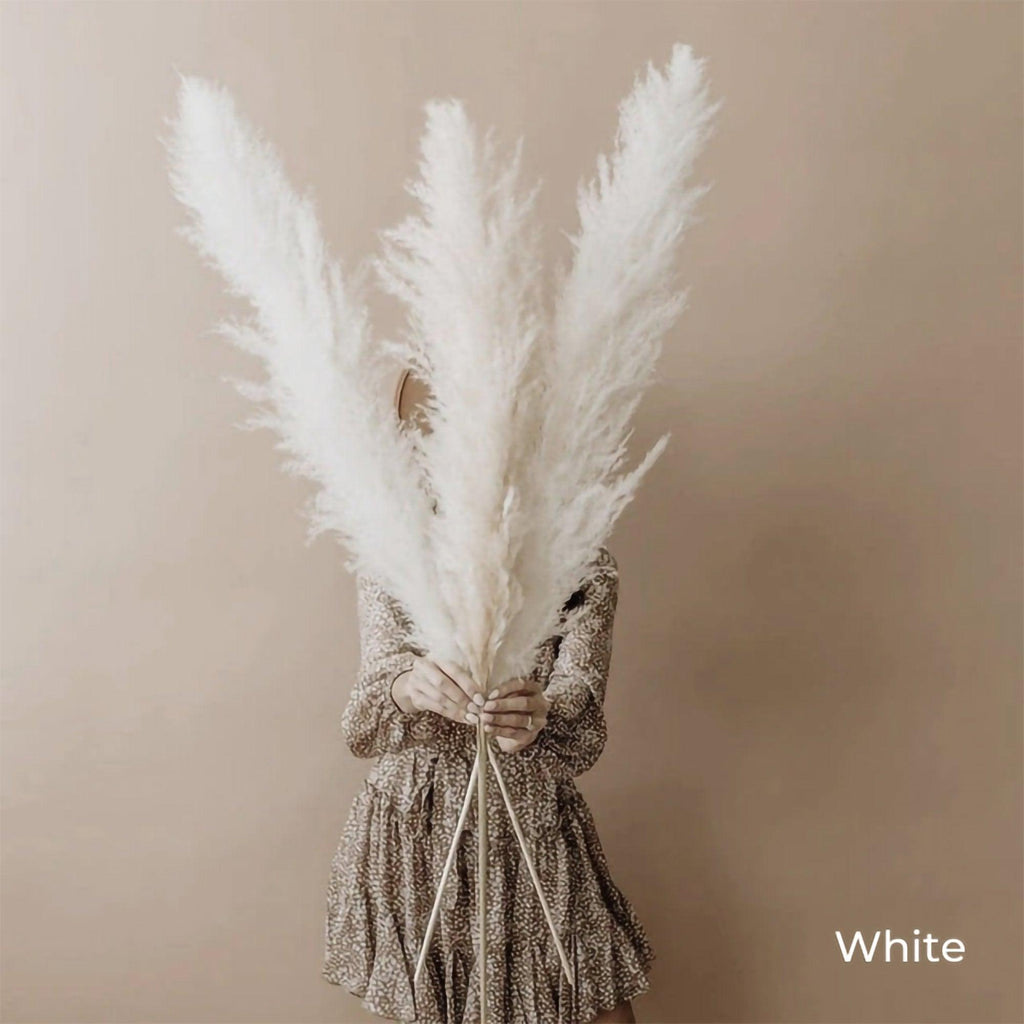 Ramo de hierba de pampas natural y real seca de 80 cm (blanco / beige / gris) │ pluma esponjosa para decoración moderna boho del hogar