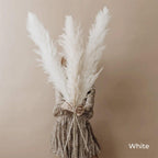 Ramo de hierba de pampas natural y real seca de 80 cm (blanco / beige / gris) │ pluma esponjosa para decoración moderna boho del hogar