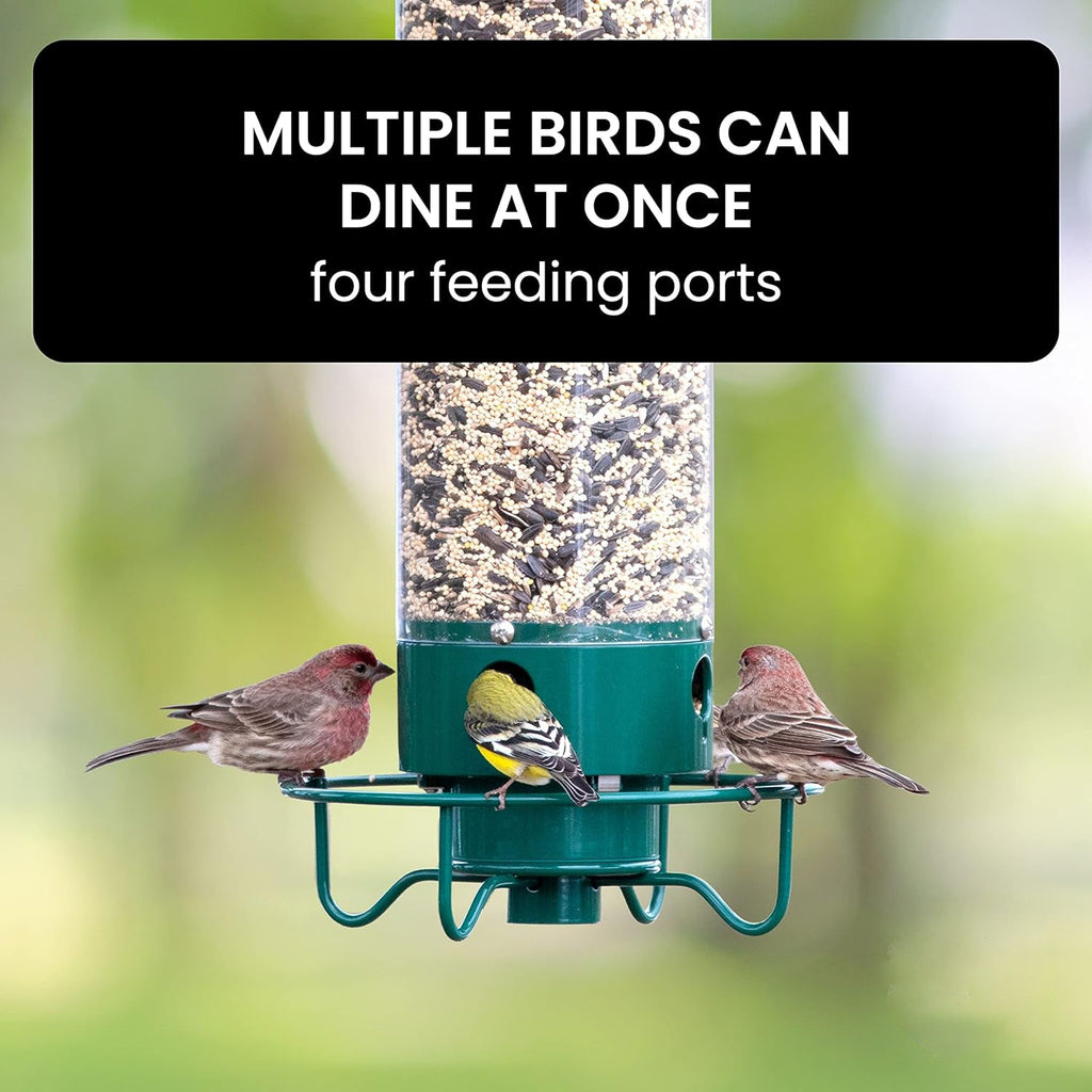 Comedero para Aves a Prueba de Ardillas