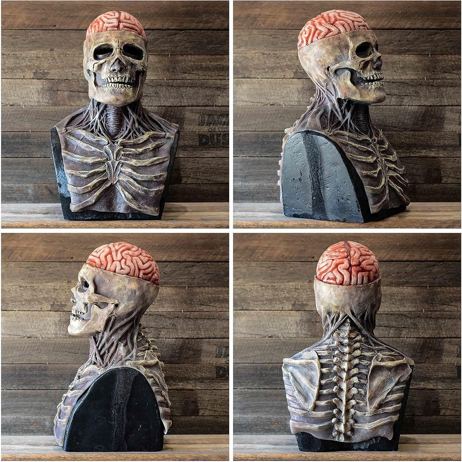 Lisslune | Máscara de Calavera de Halloween con Detalle de Cerebro