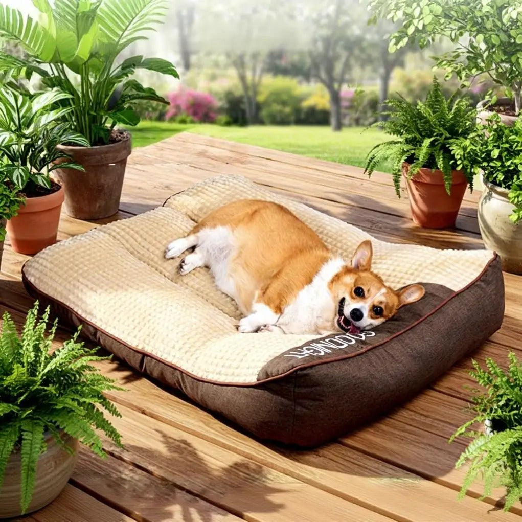 Cama Ortopédica XXL para Perros con Funda Removible para Perros Grandes